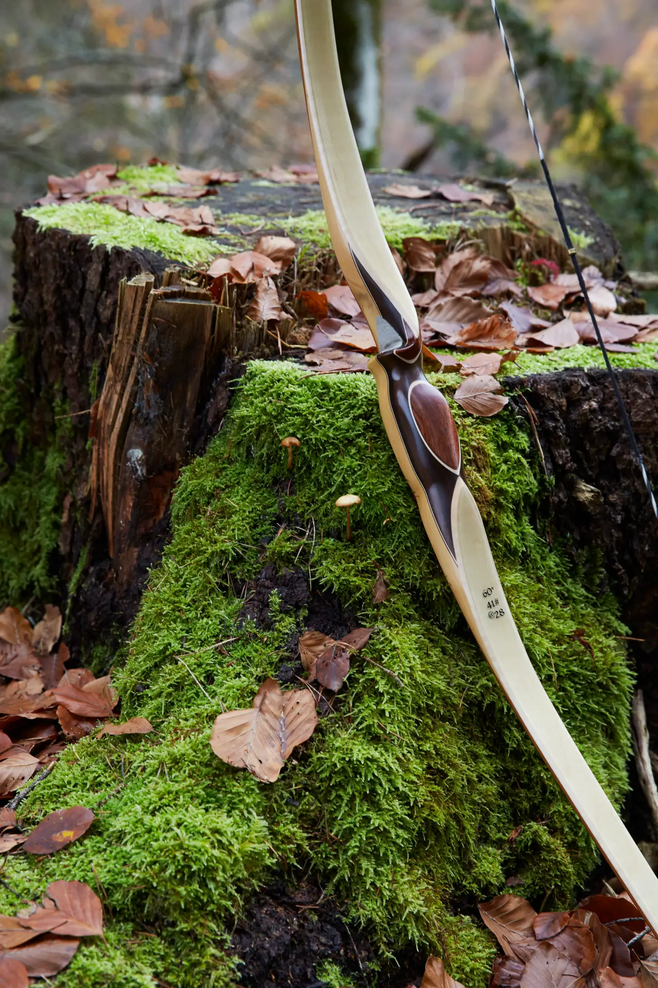 vue centrée sur l'arrière d'une poignée d'un arc longbow hybride DrakBow