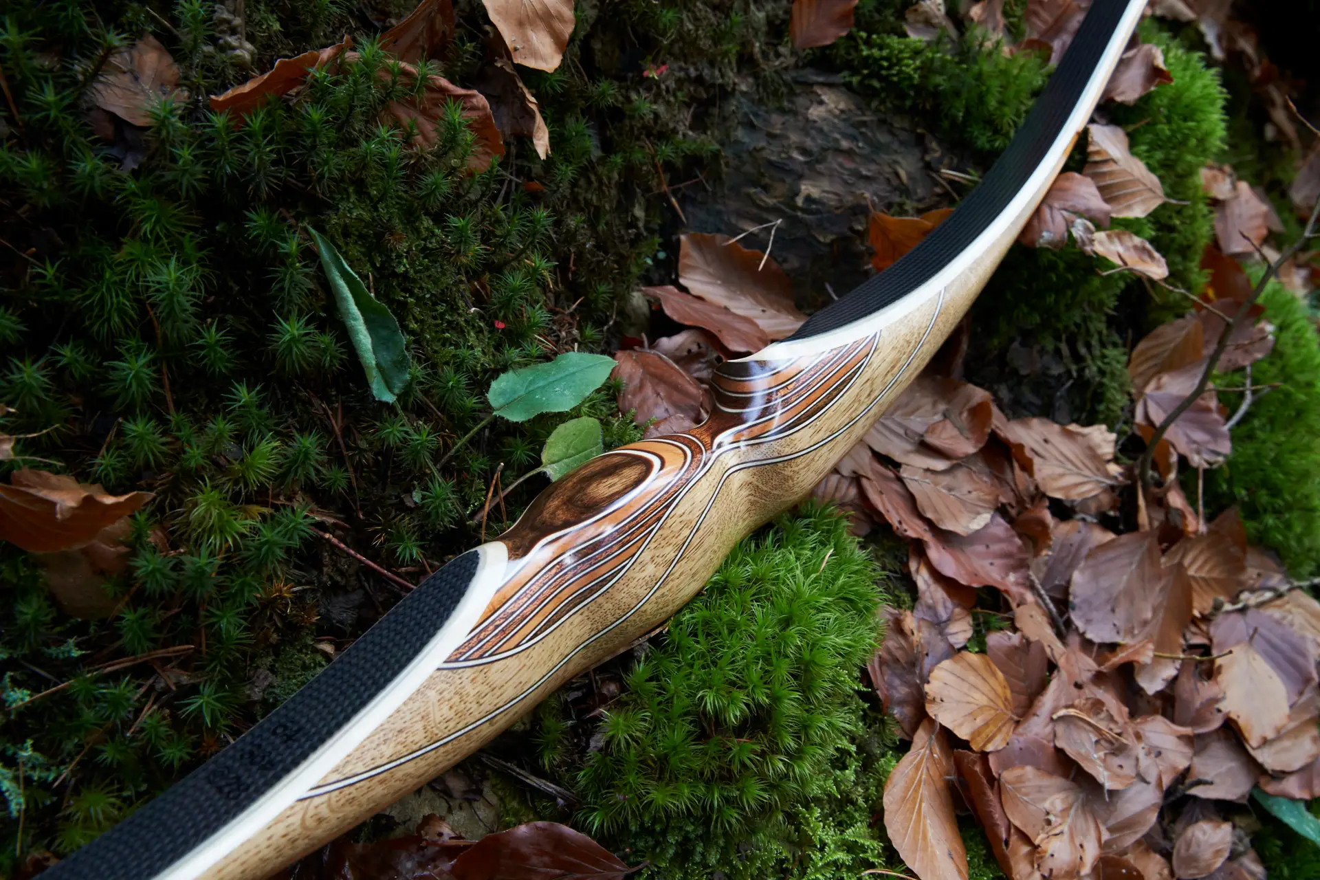 vue de l'arrière d'une poignée d'un arc longbow hybride carbone DrakBow sur mesure en chêne et et multiples couches de placages