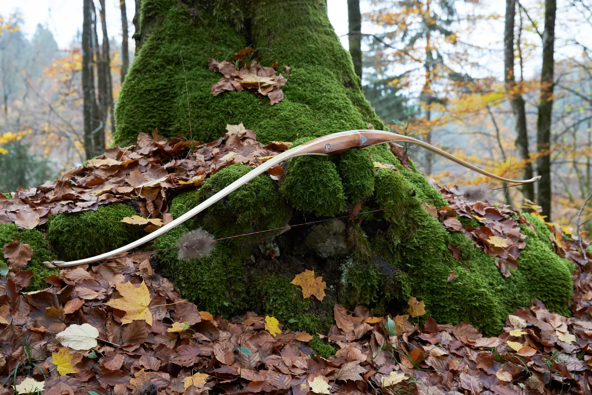vue complète d'un arc longbow hybride DrakBow avec poignée classique