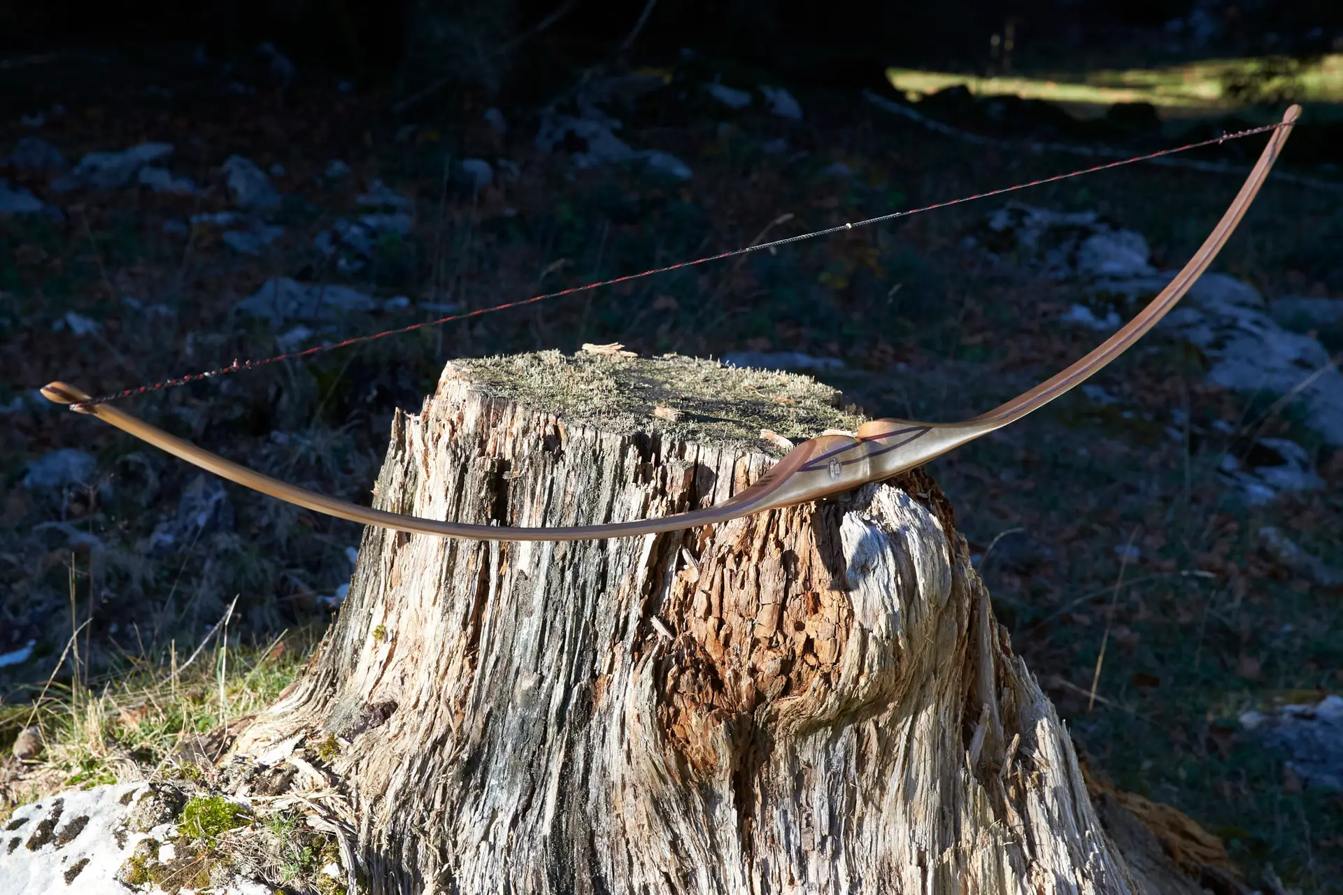 vue complète d'un arc semi-longbow DrakBow sur mesure branches en if et cytise